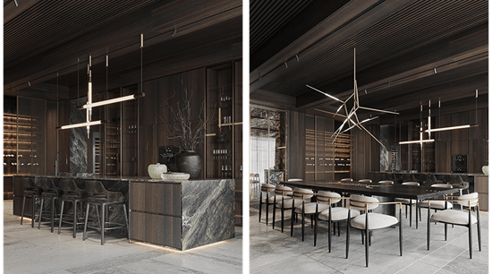 Modern Design Luxury Spacious Kitchen Product Illustration（4）