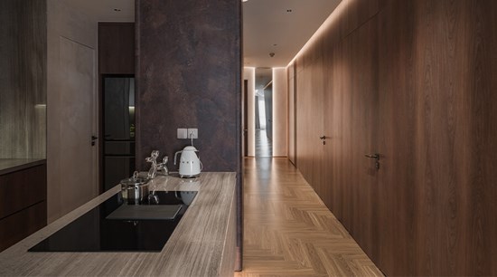 Contemporary Toned Modern Wood Kitchen Cabinets