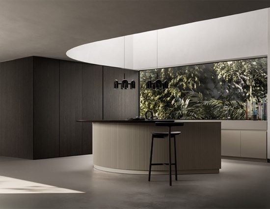 Modern Kitchen Cabinet with Arc Center Island